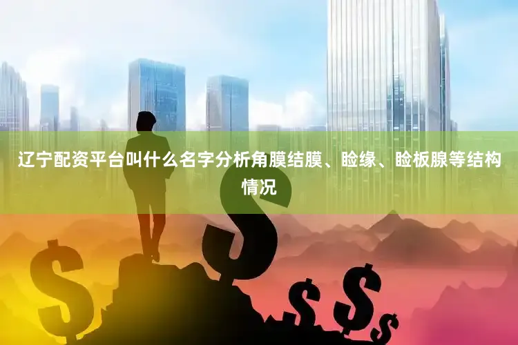 辽宁配资平台叫什么名字分析角膜结膜、睑缘、睑板腺等结构情况