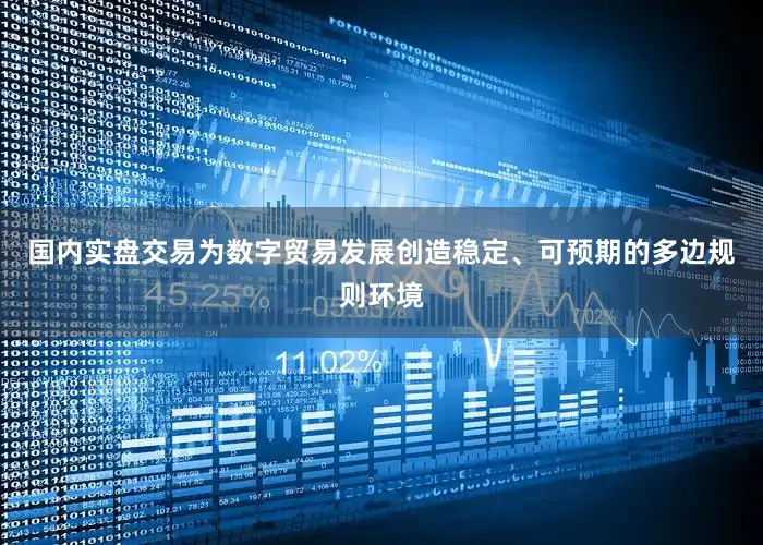 国内实盘交易为数字贸易发展创造稳定、可预期的多边规则环境