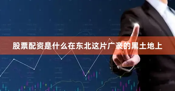股票配资是什么在东北这片广袤的黑土地上