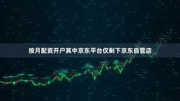 按月配资开户其中京东平台仅剩下京东自营店