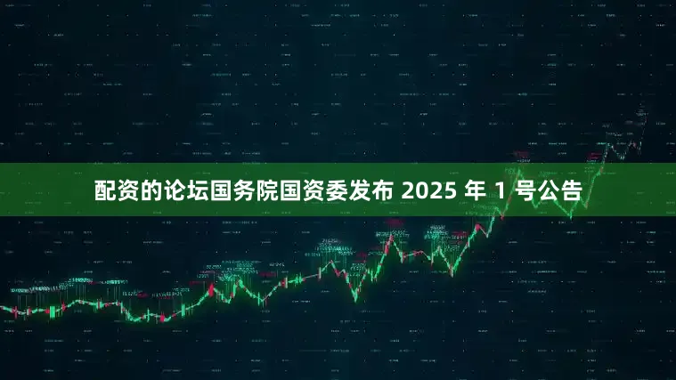 配资的论坛国务院国资委发布 2025 年 1 号公告