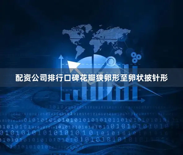 配资公司排行口碑花瓣狭卵形至卵状披针形