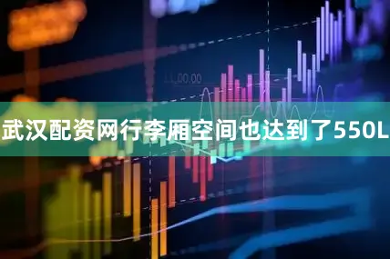 武汉配资网行李厢空间也达到了550L
