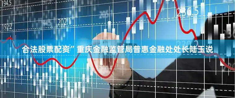 合法股票配资”重庆金融监管局普惠金融处处长陆玉说